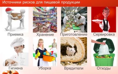 ХАССП и СанПиНы
